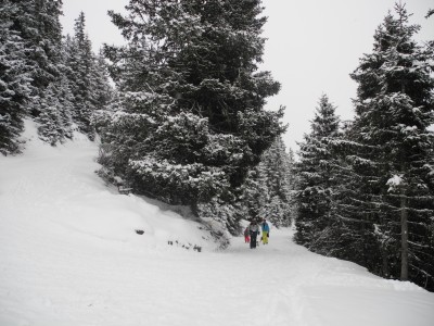 Die letzte Kurve.JPG (1.23 MiB) 43537 mal betrachtet Die letzte Kurve