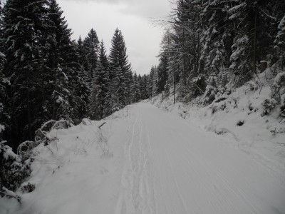 Die Rodelbahn im Abschnitt unterhalb von Stiglreith