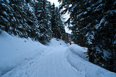 Sistranser Alm (4).jpg