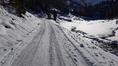 Die Rodelbahn ab Bergheim