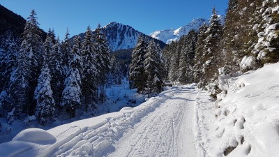 Schön ist es sowieso, kurz vor Bergheim.