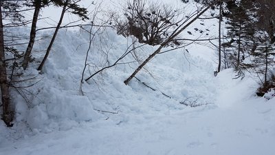 Die Lawine kurz vor der 2.Ladhütte