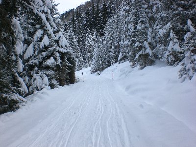 Rodelbahn Juifenalm 2009-01-24 Beginn.jpg (2.17 MiB) 10381 mal betrachtet Am Beginn der Bahn