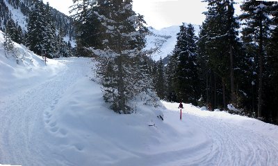 Unterhalb der Jagdhütte