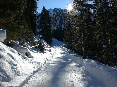 Rodelbahn knapp unterhalb der Kemater Alm