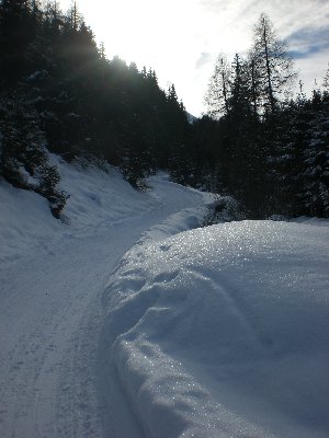 Rodelbahn im oberen Abschnitt