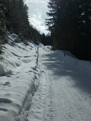 Rodelbahn im unteren Abschnitt